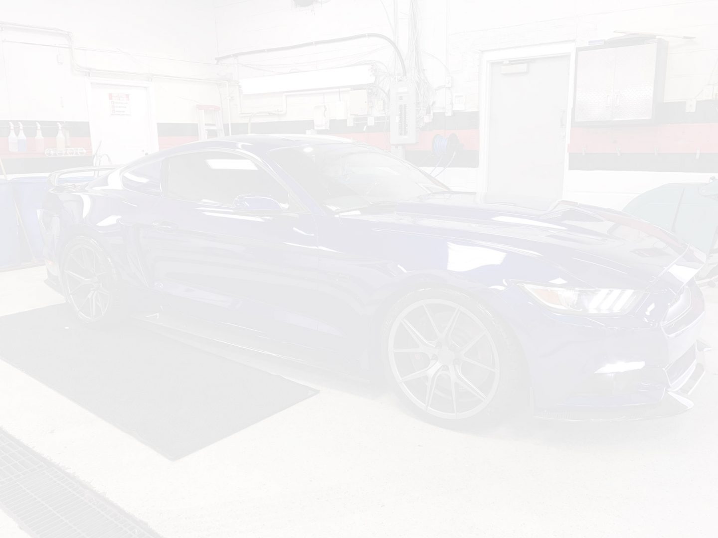 shammys auto detailing review Shammy's Auto Detailing