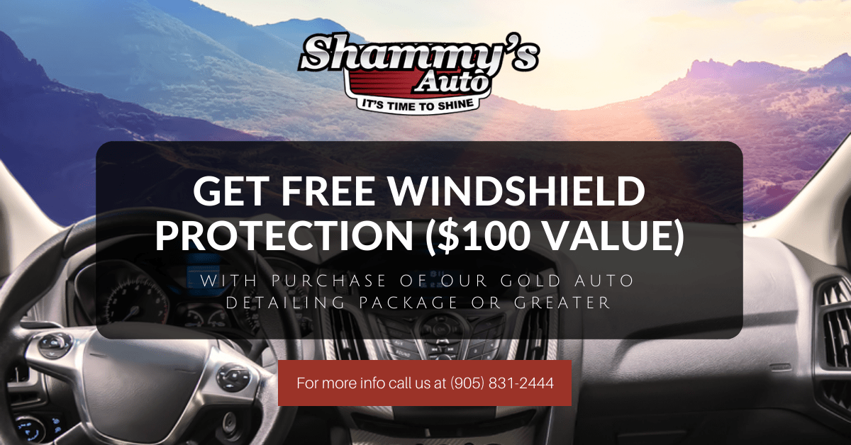 Windshield Protection Promo (1) Shammy's Auto Detailing